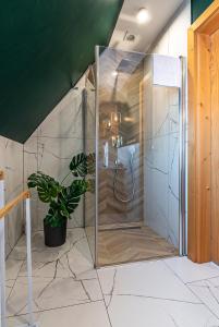 een douche in een badkamer met een potplant bij Osada Witów - apartament „Czerwone Wierchy” in Witów