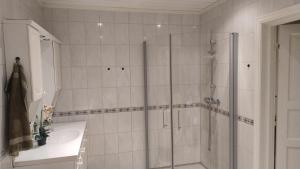 een badkamer met een douche en een wastafel bij Skap Opplevelser! in Svingvoll +92 foto's
