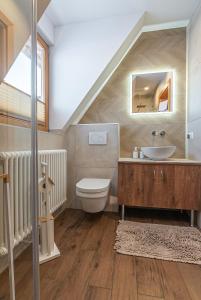 een badkamer met een wastafel en een toilet op zolder bij Osada Witów - apartament „Niebieska Turnia” in Witów +9 foto's