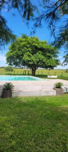 un albero in mezzo a un parco con un albero di Puerto Colla a Esquina