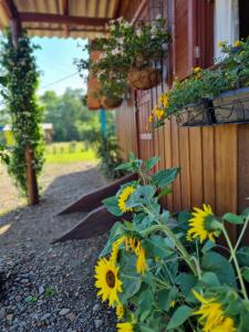 Un jardín con girasoles amarillos junto a un edificio. en Pousada dos Sonhos - Timbé do Sul, en Timbe do Sul 21 fotos más