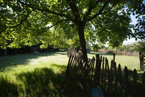 Zahrada ubytování De Weide Wereld