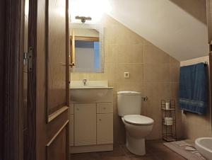 un bagno con un water, un lavandino e uno specchio di Encanto Rural ad Arnedillo Altre 25 foto