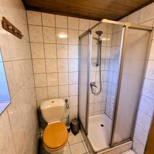 a bathroom with a shower and a toilet and a shower at Alpine Auszeit am Wilden Kaiser in Scheffau am Wilden Kaiser