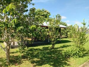 Zahrada ubytování Jagtlust