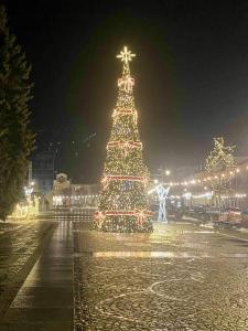 a christmas tree is lit up at night at BM Apartament in Augustów +21 photos