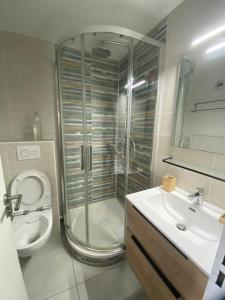 Appartement climatisé 6 personnes في سانت رافائيل: حمام مع دش ومرحاض ومغسلة