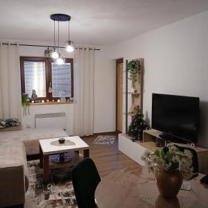 TV/trung tâm giải trí tại Apartman Montis