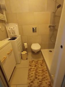 un piccolo bagno con wc e doccia di L instant carcassonnais a Carcassonne