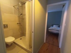 un bagno con doccia, WC e lavandino di L instant carcassonnais a Carcassonne