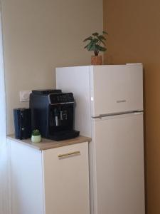 un frigorifero bianco con una macchinetta del caffè sopra di L instant carcassonnais a Carcassonne