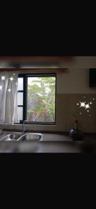 a kitchen with a sink and a window with a palm tree at House Silvia & Nuno´s in Machico