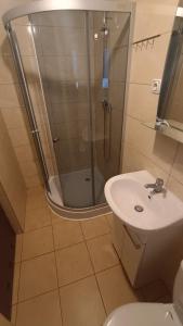 Ένα μπάνιο στο Noclegi pod Sosnowym Drzewem +9 φωτογραφίες