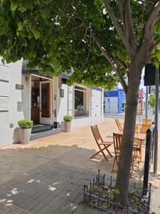 坦迪尔Hotel Francia的人行道上的一组椅子和一棵树