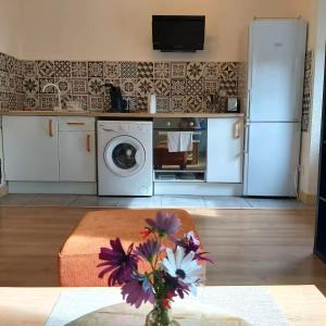 Foix centre - T2 vue sur le Château في فوا: مطبخ مع ثلاجة وغسالة ملابس +7 صور