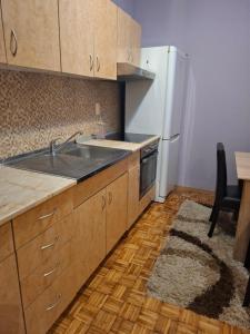 Η κουζίνα ή μικρή κουζίνα στο Stan na dan DN-apartman