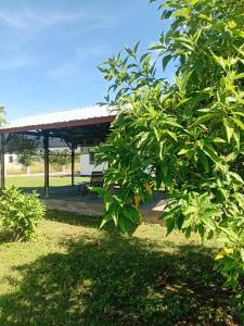 Zahrada ubytování Jagtlust + 4 fotografie