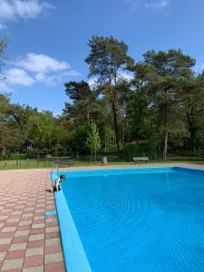 Swimmingpoolen hos eller tæt på Natuurhuisje De Boshut