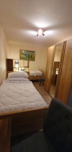 een slaapkamer met een bed, een bureau en een stoel bij Schau ins Land 2 in Elbingerode