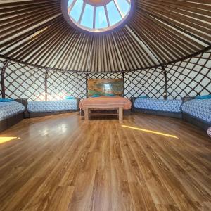 Φωτογραφία από το άλμπουμ του Nomad equestrian Luxury Ger camp  +11 φωτογραφίες