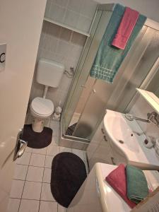 a small bathroom with a toilet and a sink at Aca's & Lidija's Thermal Hideaway Čatež - Tickets included in Brežice