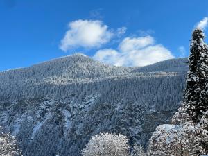 Γενική θέα στο βουνό ή θέα στο βουνό από  αυτός ο ξενώνας