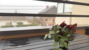 En balkon eller terrasse på Le Mignon - T2 - 4 personnes - Combe Persil