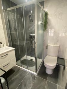 a bathroom with a shower with a toilet and a sink at Maison cosy 5 pers 2 suites parentales Proche Mer& Narbonne in Coursan