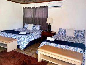 a bedroom with two beds and a window at Napoli Centro in Santa Ana