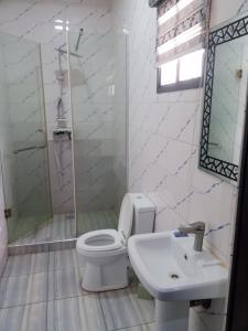 a white bathroom with a toilet and a sink at De Baylux Hotel and Suites, Lekki, Lagos in Maiyegun +28 photos