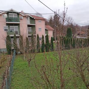 Zahrada ubytování Apartman5