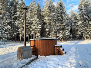 Το Forest house Einblūti τον χειμώνα