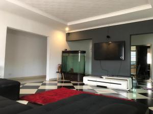 TV/trung tâm giải trí tại Ndameka Apartments