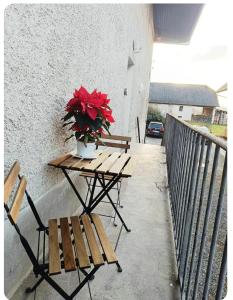 Dos mesas de picnic con flores rojas en un balcón. en Le Parmelan - Sur la route d'Annecy, en Alby 2 fotos más