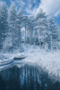 Waterfront Cabin Experience - Lake & Forest View trong mùa đông