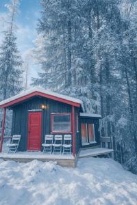 Waterfront Cabin Experience - Lake & Forest View trong mùa đông +6 ảnh