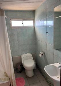 Fotografie z fotogalerie ubytování Pieza Central v destinaci Temuco