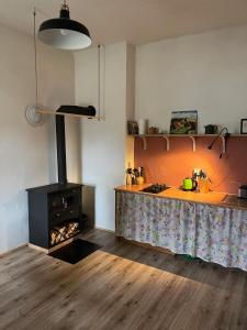 a kitchen with a stove in the middle of a kitchen at Apartmán Ekonomy 