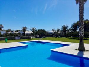 a large blue swimming pool with a palm tree at Xalet Son Favaritx by GMHouse Menorca in Cala en Bosc