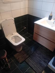a bathroom with a toilet and a sink at Meteora best view villa in Kalabaka +62 photos