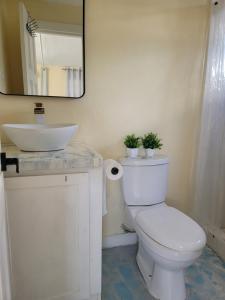 a bathroom with a toilet and a sink and a mirror at City and oceanview of town in Saint Georgeʼs