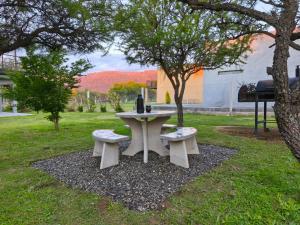 a picnic table and two benches under a tree at Atardeceres del dique in Cortaderas +8 photos