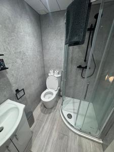Un baño con ducha, inodoro y lavabo. en Reads Avenue - Luxury Ground Floor Studio - Next Door to H&A Social Club, en Blackpool 1 foto más