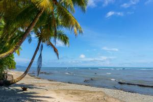 Una playa con dos palmeras y el océano. en Jodokus Inn, en Montezuma