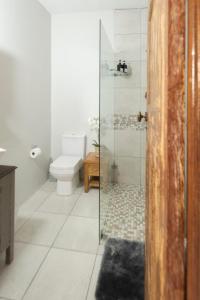 a bathroom with a toilet and a glass shower at Mountain and Tides in Kleinmond +14 photos