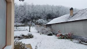 CserépváraljaにあるFaluvégi Vendégházの雪に覆われた庭