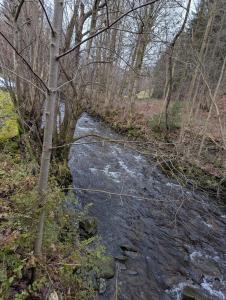 Fotografie z fotogalerie ubytování Oase der Entspannung direkt an Flussnähe v destinaci Herzberg am Harz