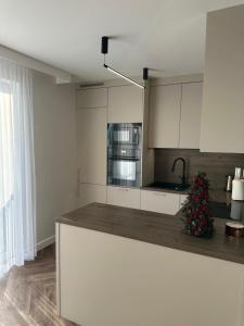 een keuken met een kerstboom op een aanrecht bij Panorama 79 in Nowy Targ
