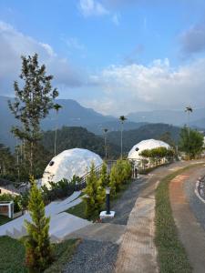 Un paisaje natural cerca del tented camp