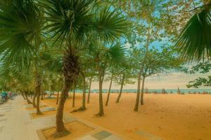 Природа в окрестностях виллы